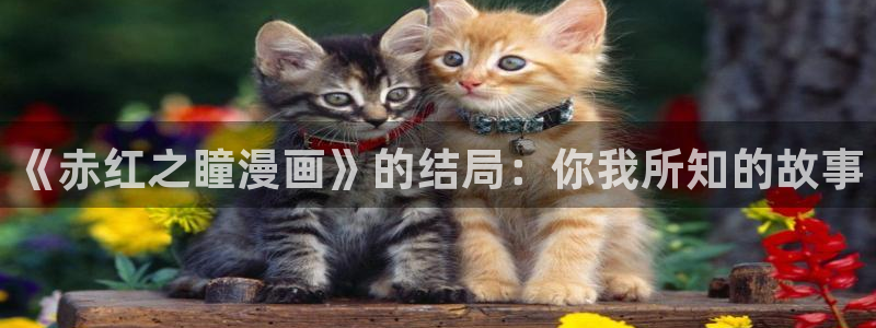 韩漫漫画免费在线看：《赤红之瞳漫画》的结局：你我所知的故事