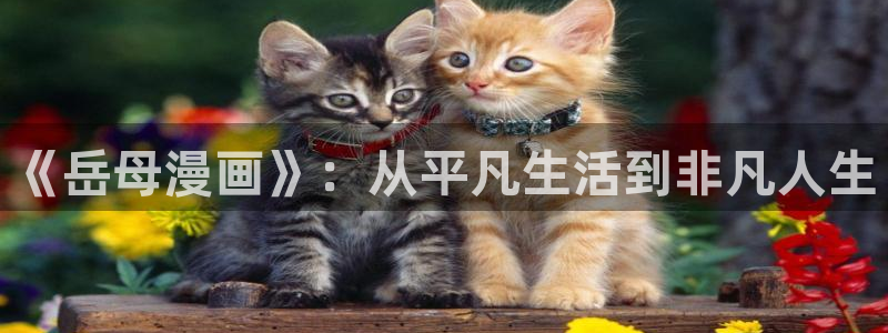 韩漫漫画免费阅读app