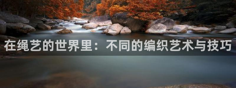 yy韩漫漫画：在绳艺的世界里：不同的编织艺术与技巧